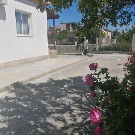 House בית נופש