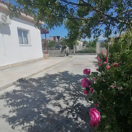 بيت للعطل House *